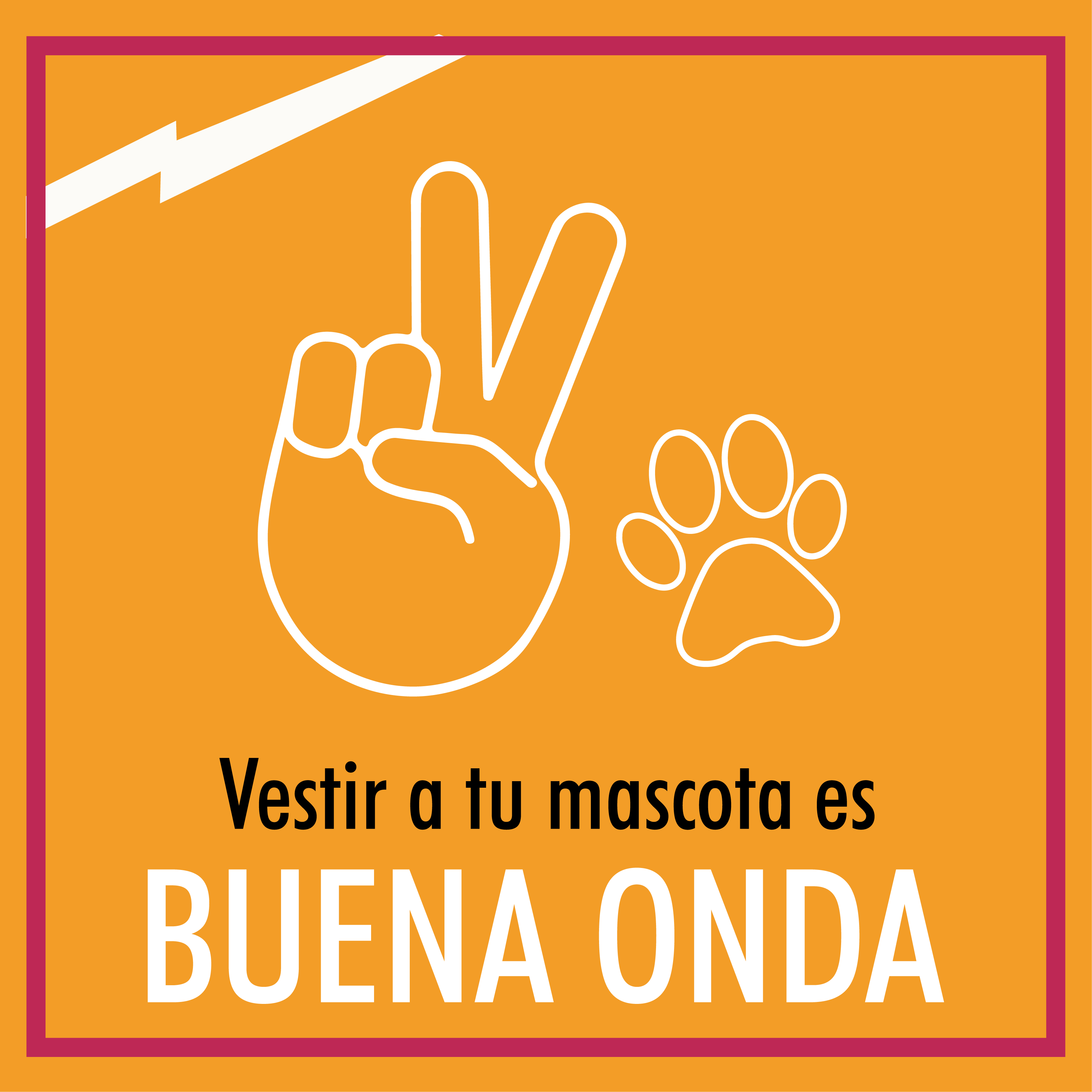 Buena Onda: Tu mascota en armonía con tu estilo - Nueva Exhibición