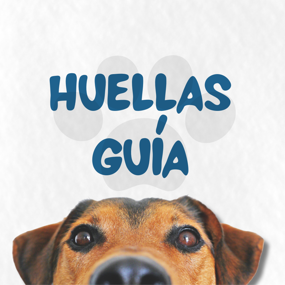 Huellas Guías