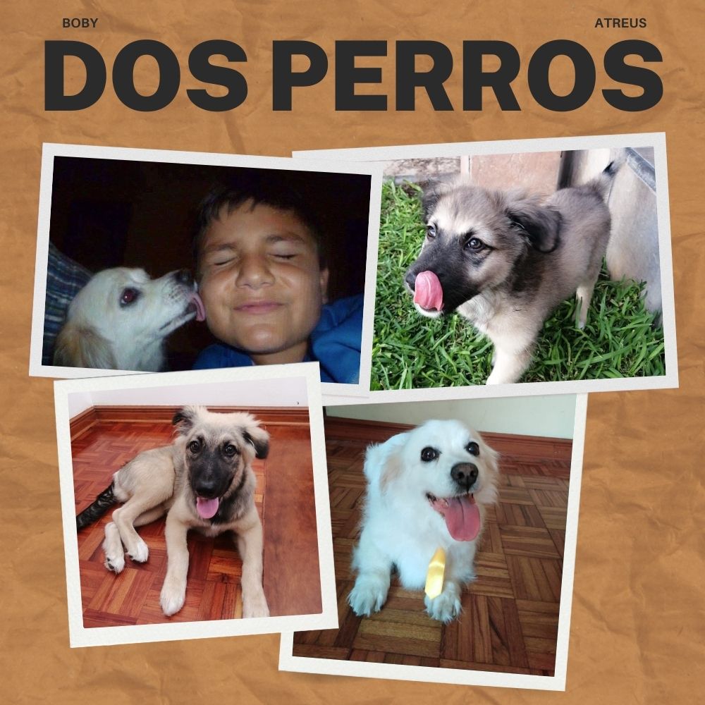 Dos perros