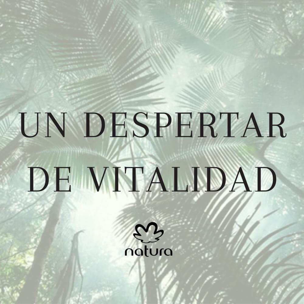 Un Despertar de Vitalidad-natura