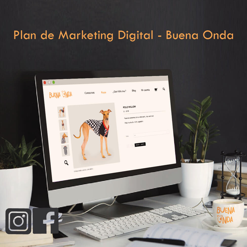 Plan de Marketing Digital - Buena Onda