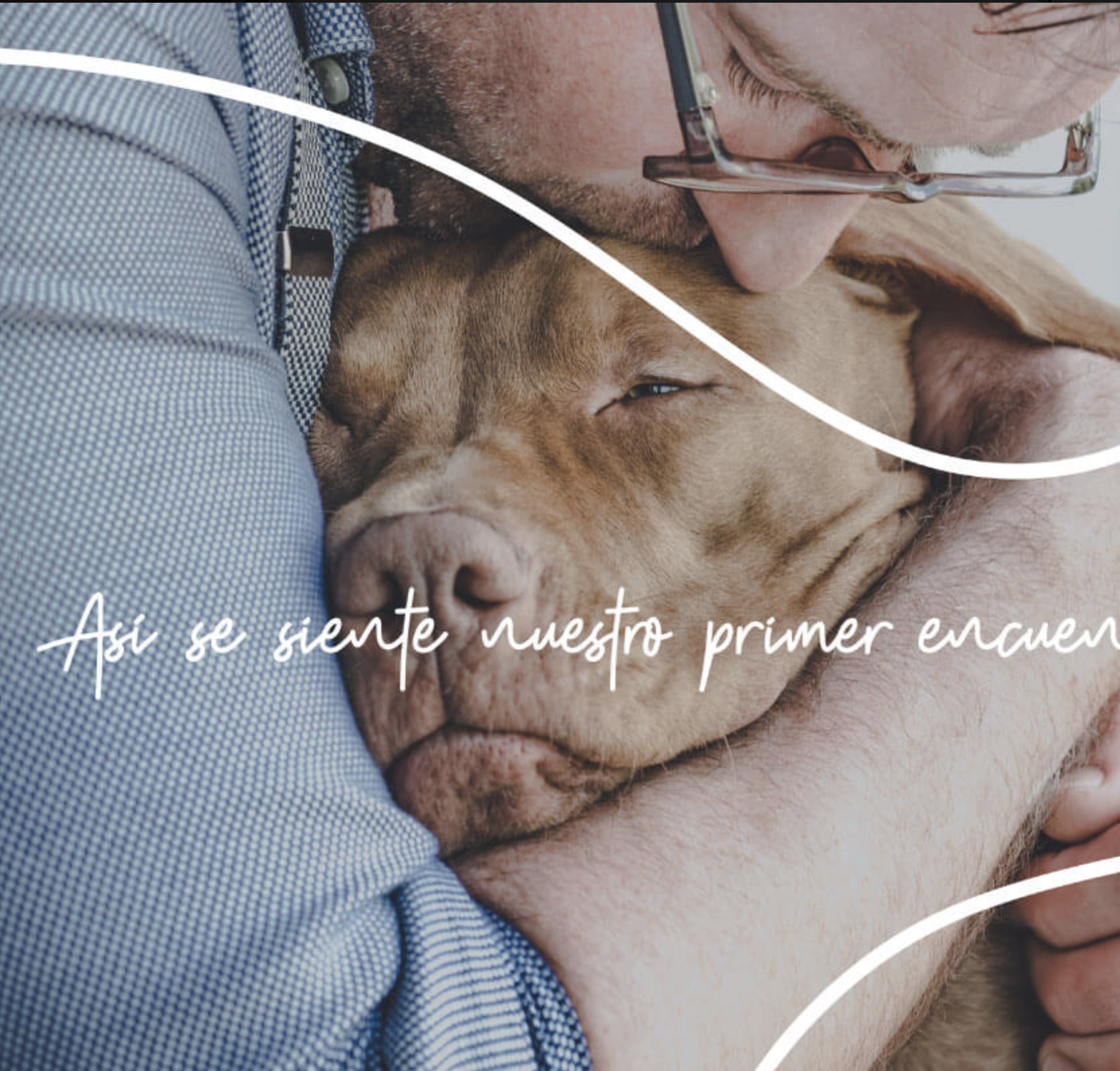 Adoptamos para encontrarnos: Caso Matchcota