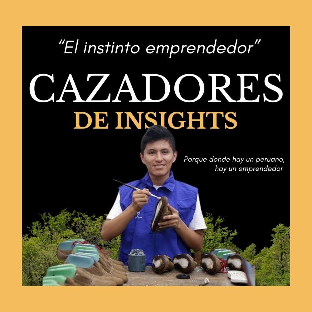 Cazadores de Insights: El instinto emprendedor