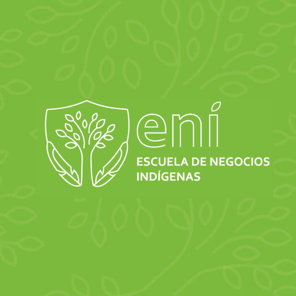 MANUAL DE MARCA: Escuela de Negocios Indígenas