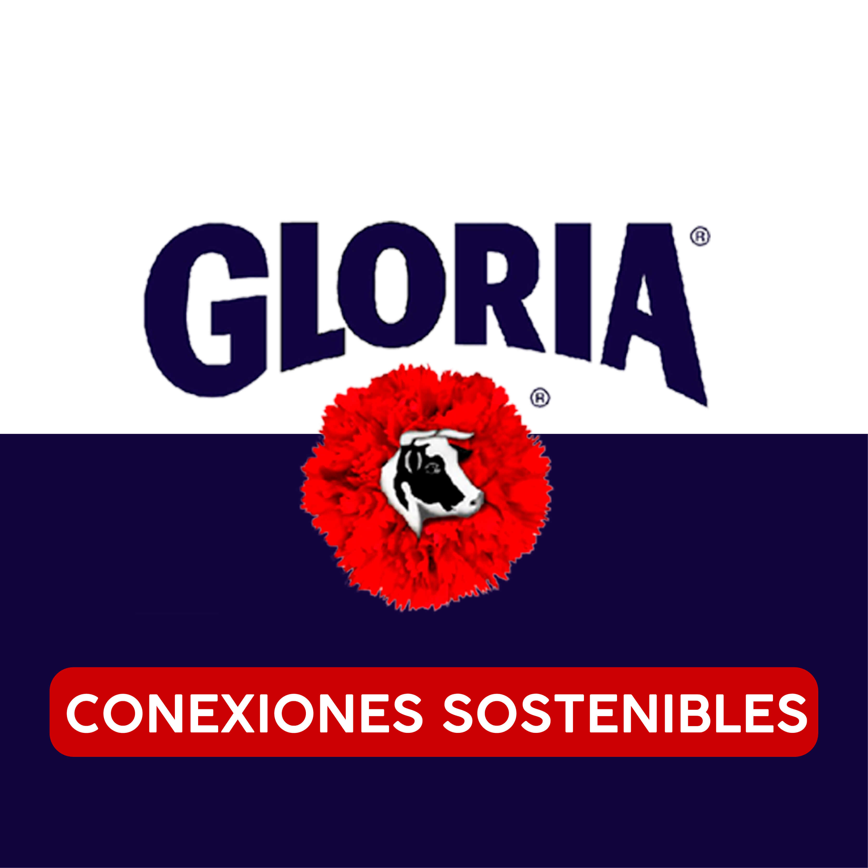 Conexiones Sostenibles
