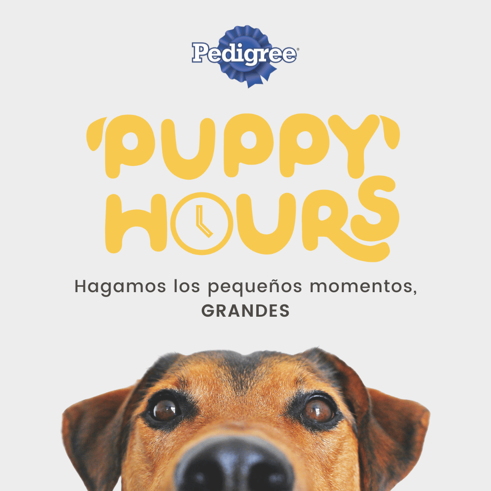 Pedigree: Puppy Hours