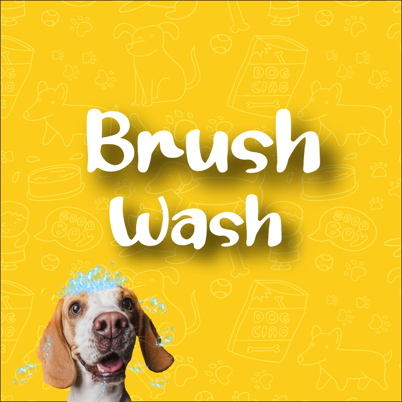 Brushwash: E-Commerce