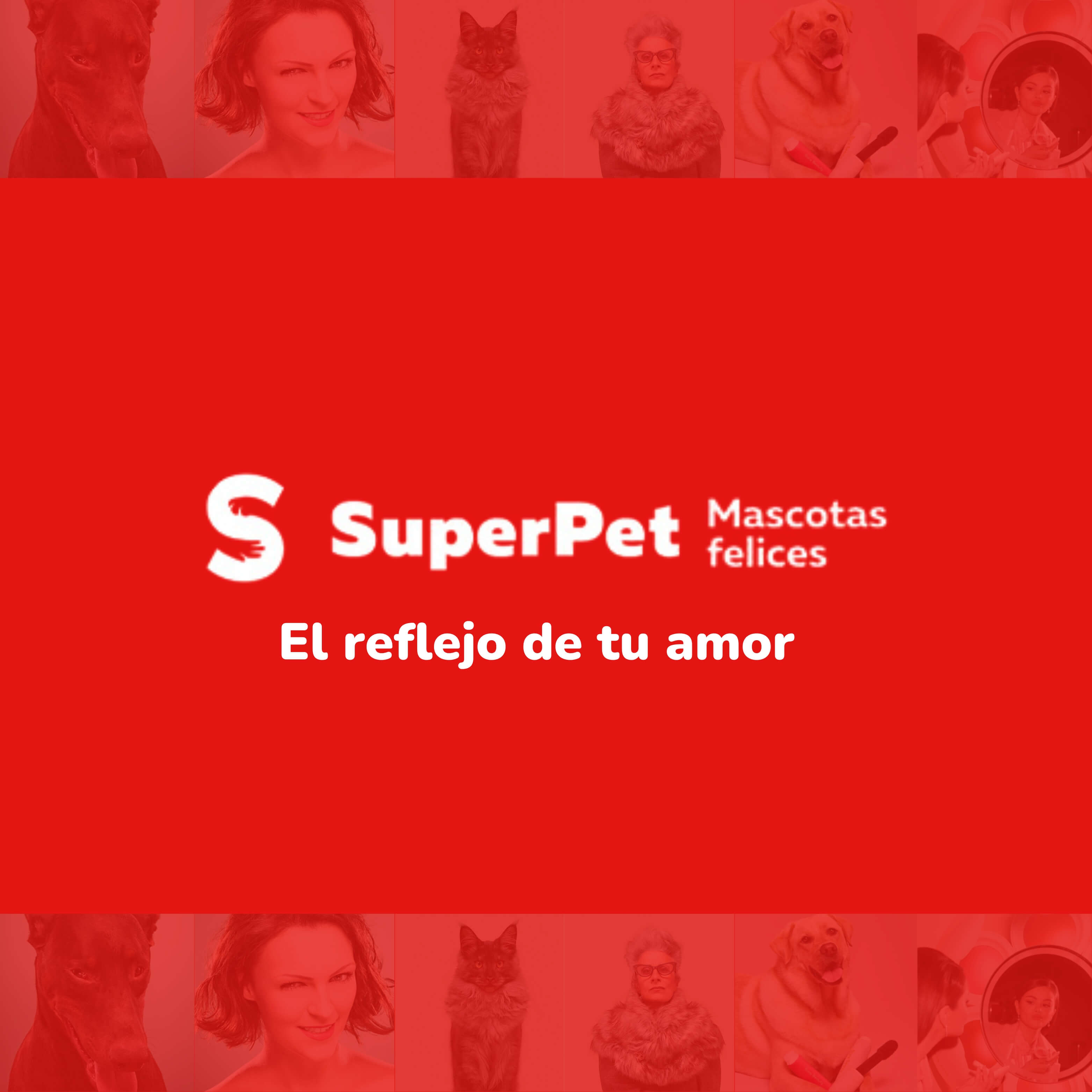 Plan de Marketing Digital para Super Pet