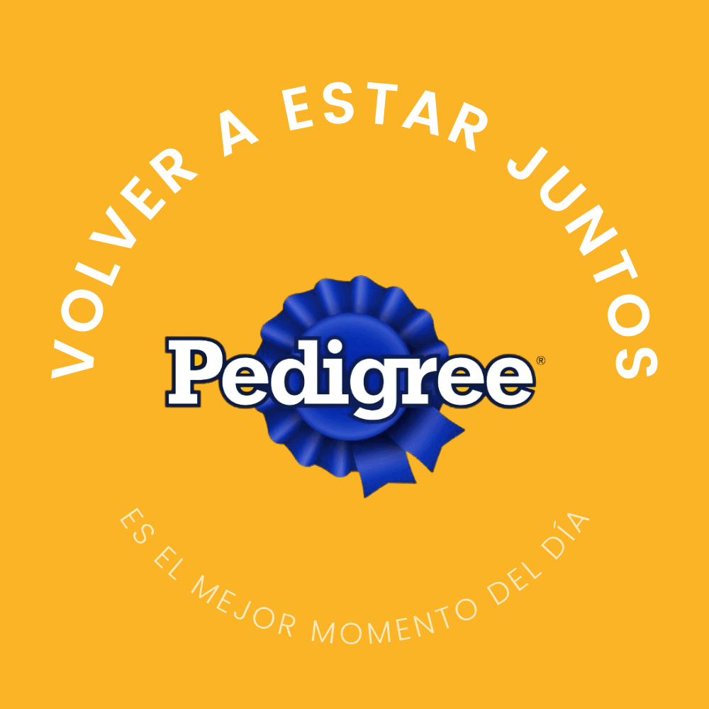 Pedigree: Volver a estar juntos