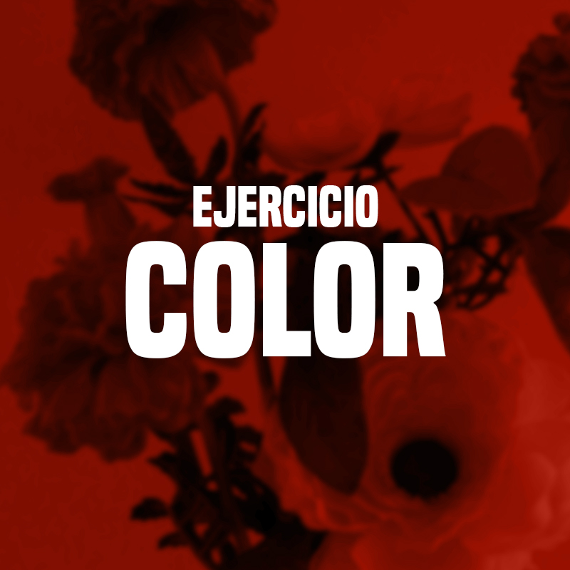 Stephany Chapilliquen: Color